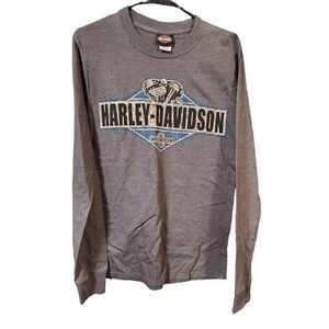 Harley davidson motorcycles S grey top lake Geneva wisconsin